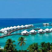 Maldive